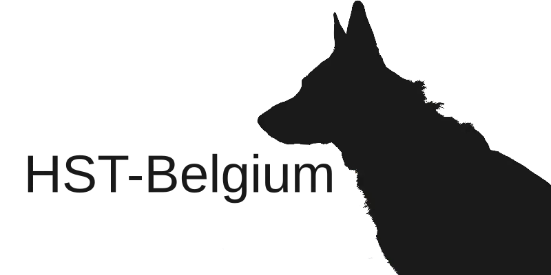 Logo HST-Belgium