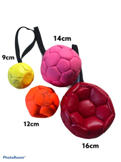 Ballon cuir pour chien - comparatif taille et couleur